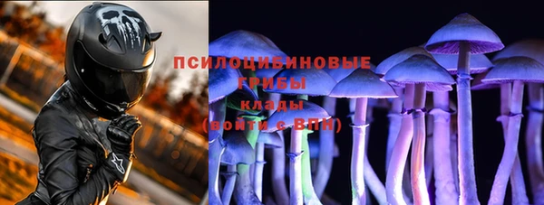 бошки Балахна