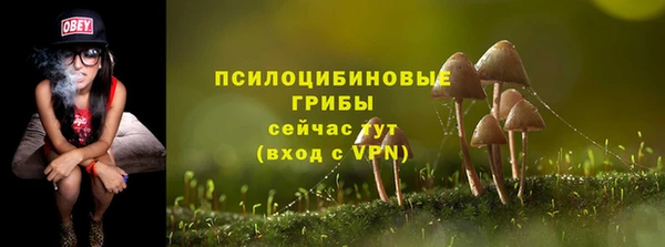 амф Белоозёрский