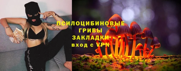 бошки Балахна