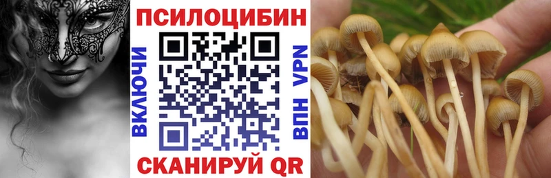 Галлюциногенные грибы Magic Shrooms  shop состав  Карабаш 